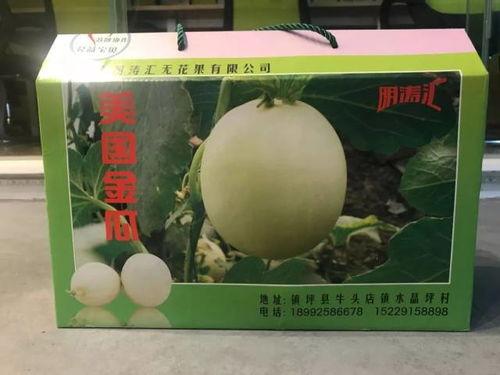 大瓜吃牛头,揭秘娱乐圈的惊人内幕