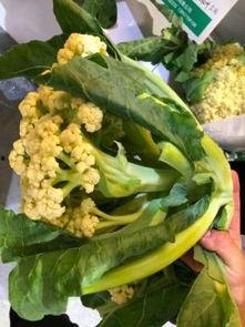 浙江纺织吃瓜,吃瓜群众眼中的行业风云