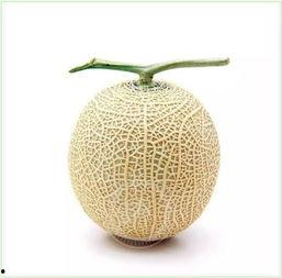 吃瓜群众拉花,揭秘网络热词背后的文化现象