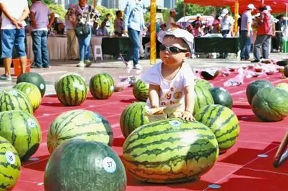 永年圆圆吃瓜网站,揭秘娱乐圈幕后故事