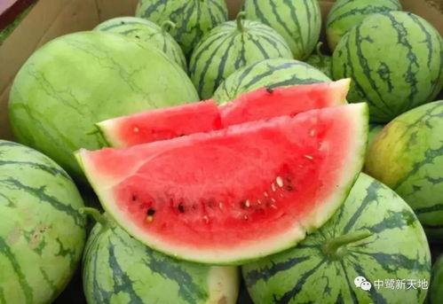 甜昔吃瓜,揭秘网红美食背后的故事