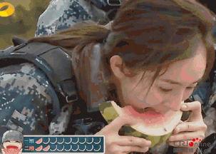 怎么检测吃瓜群众,如何精准识别并分析网络围观者