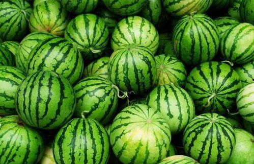 夏天吃瓜照,瓜果飘香，定格夏日美好瞬间