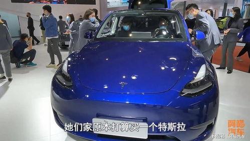 特斯拉车主吃瓜,揭秘汽车圈背后的故事