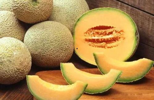 吃哈密瓜减肥,甜蜜解脂，轻松享瘦新体验