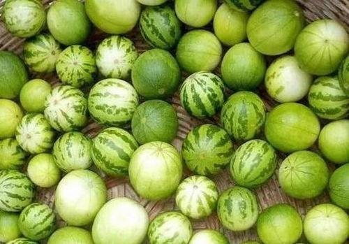 吃瓜又叫,揭秘“吃瓜群众”背后的娱乐狂欢