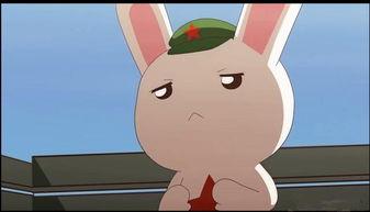 呆瓜兔子怎么吃,解锁兔子美食新境界