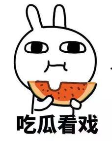 这一次吃瓜吃出绝望感,一季吃瓜，一季绝望