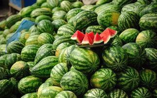 吃瓜花会胖吗,吃瓜也能增肥？揭秘吃瓜花与体重的关系