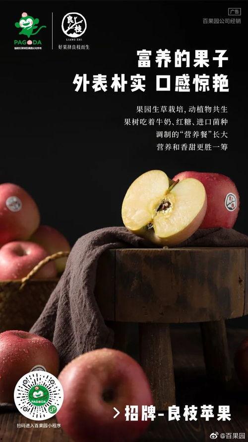 不要再吃瓜文案,拒绝无意义八卦，拥抱积极生活