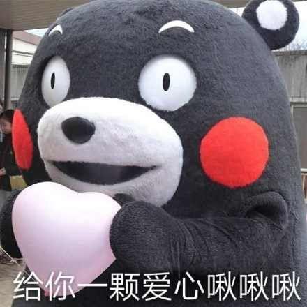 川科院吃瓜,揭秘校园里的那些事儿