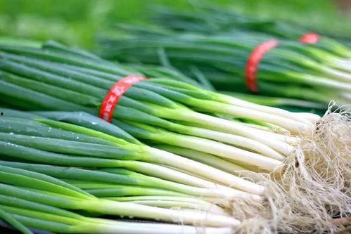 梁山吃大瓜,共享夏日大瓜盛宴