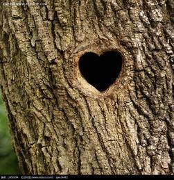 小程序树洞吃瓜