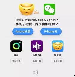 吃瓜传媒下载,下载背后的娱乐风暴