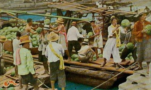 上海500人集体吃瓜,集体品尝瓜果狂欢