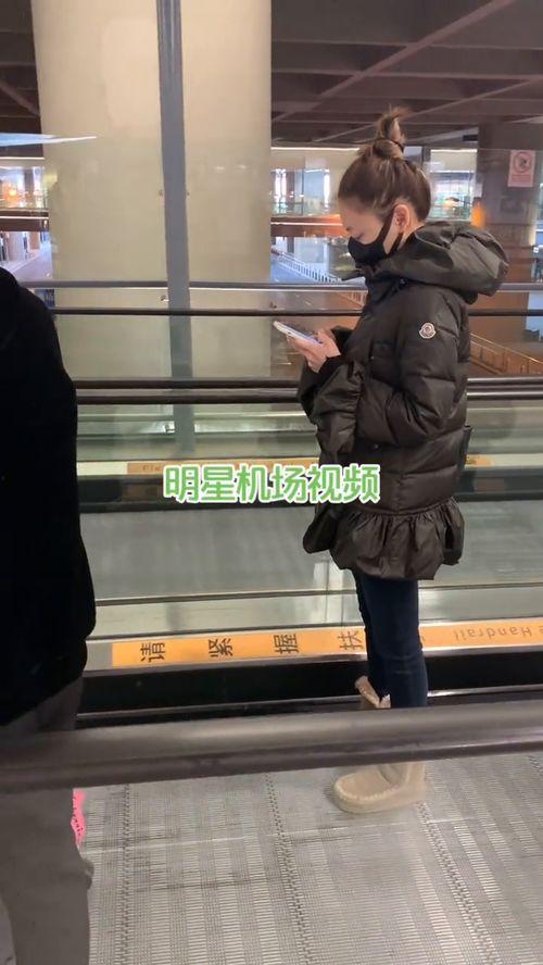 4星吃瓜路人视角,四星吃瓜路人眼中的明星幕后故事