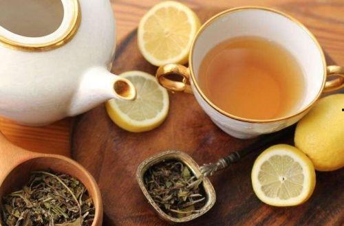 喝茶吃瓜园长妈妈,一段温馨的校园生活回忆