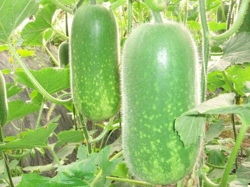 清漓吃瓜,揭秘娱乐圈背后的那些事儿