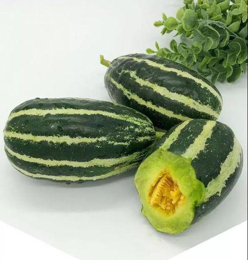 最新瓜田打开即可吃瓜,打开即享美味时光