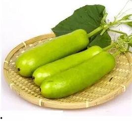 吃瓠子瓜上吐下泻,警惕上吐下泻的食品安全隐患