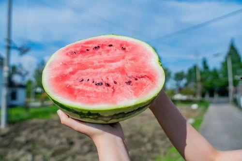 上海吃瓜打卡,吃瓜打卡，解锁城市味蕾之旅