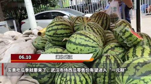 武汉最新吃瓜,揭秘网络热议背后的真相