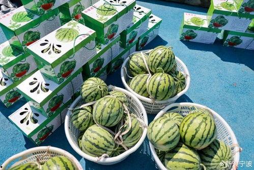 子言吃瓜,揭秘娱乐圈背后的那些事儿