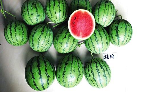 南宁银行吃瓜,揭秘背后真相与网络舆论风暴