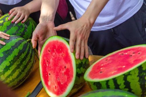 当学生们吃瓜,揭秘学生们的八卦乐园