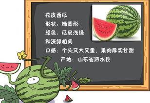吃瓜仪式阅读原文