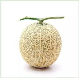 母子吃瓜法,吃瓜法带来的温馨体验