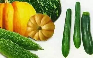 吃瓜旧梦,揭秘娱乐圈背后的故事