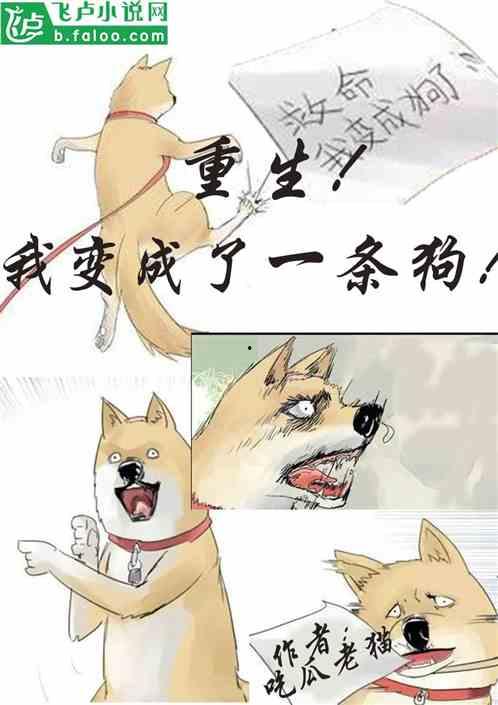 吃瓜协会小说,揭秘娱乐圈背后的秘密风云