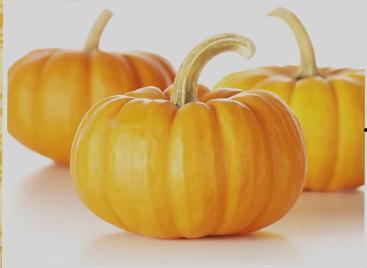 联盟路吃瓜,一场热闹非凡的吃瓜盛宴